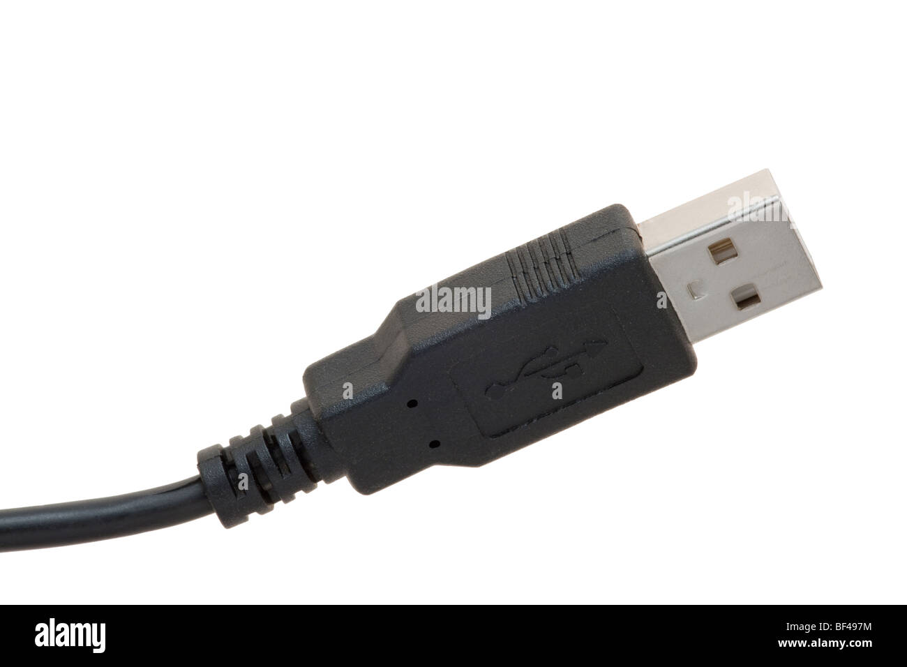 Câble USB - plugin macro sur fond blanc Banque D'Images
