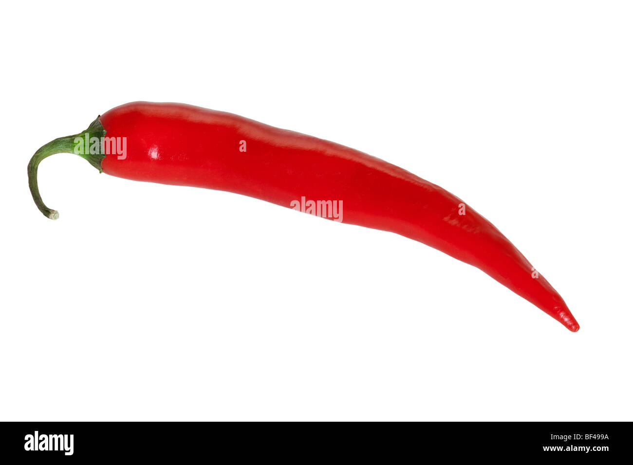 Hot Red paprica isolés dans un fond blanc. Banque D'Images