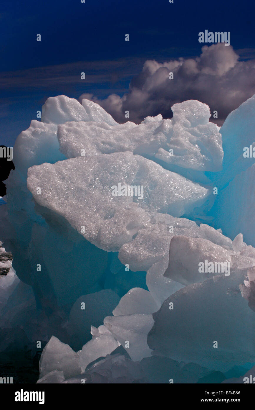 Iceberg dans la lagune San Rafael, Chili Banque D'Images