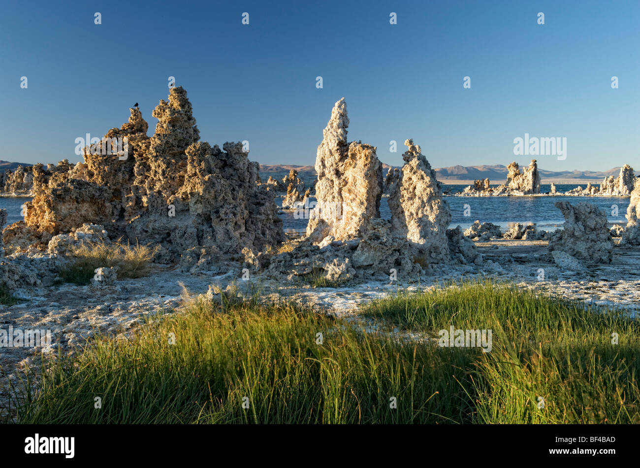 Au sud du lac Mono, tuf, Lee Vining, California, USA Banque D'Images