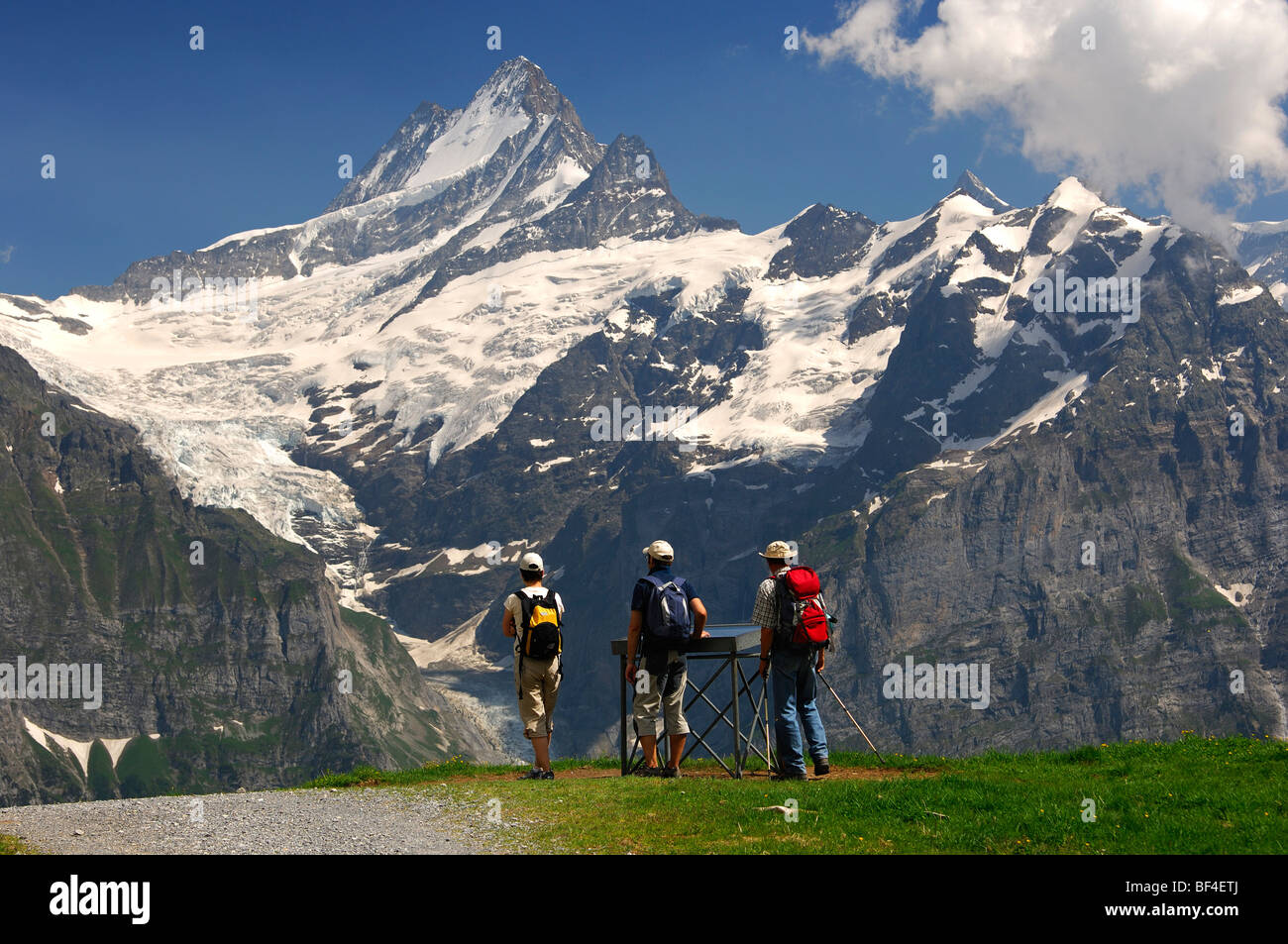 Les randonneurs à la recherche à un panneau d'information devant Mt Schreckhorn et la partie supérieure du Glacier de Grindelwald, Grindelwald, Oberland Oberl Banque D'Images