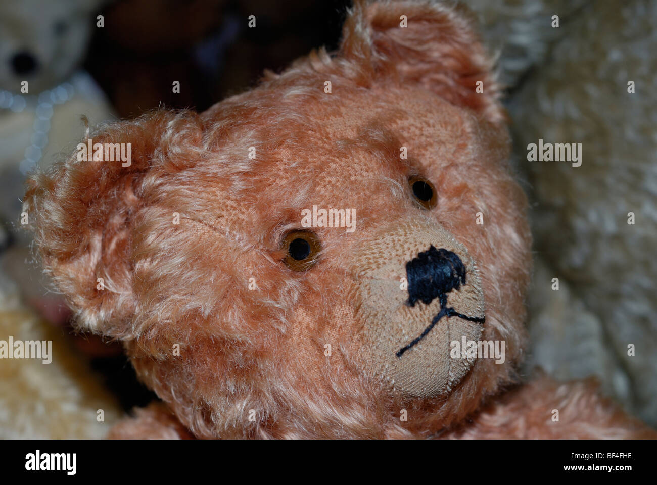 Datant Merrythought Bears