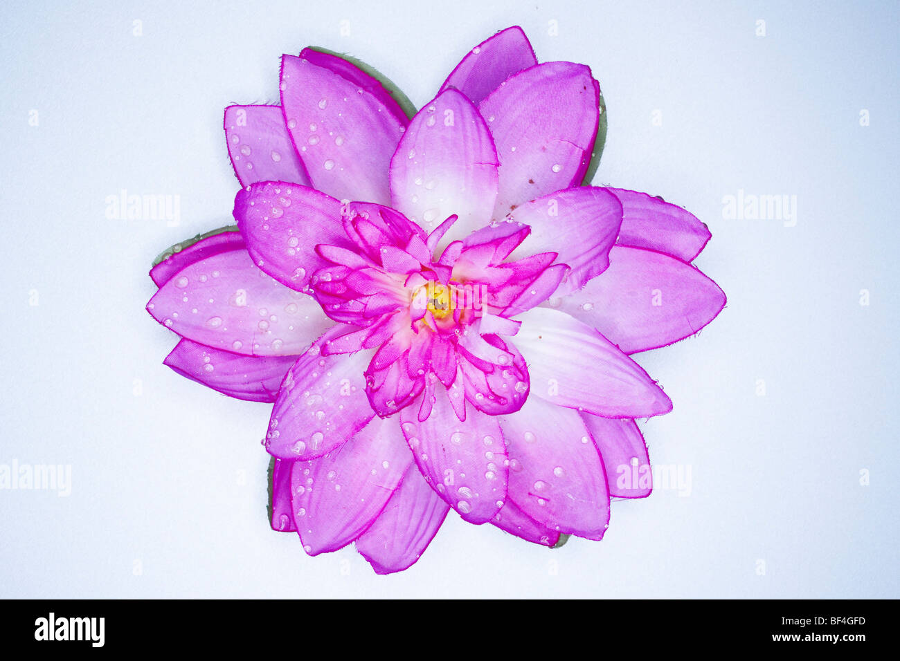 Fleur de Lotus faites de fibres synthétiques vu de dessus Banque D'Images