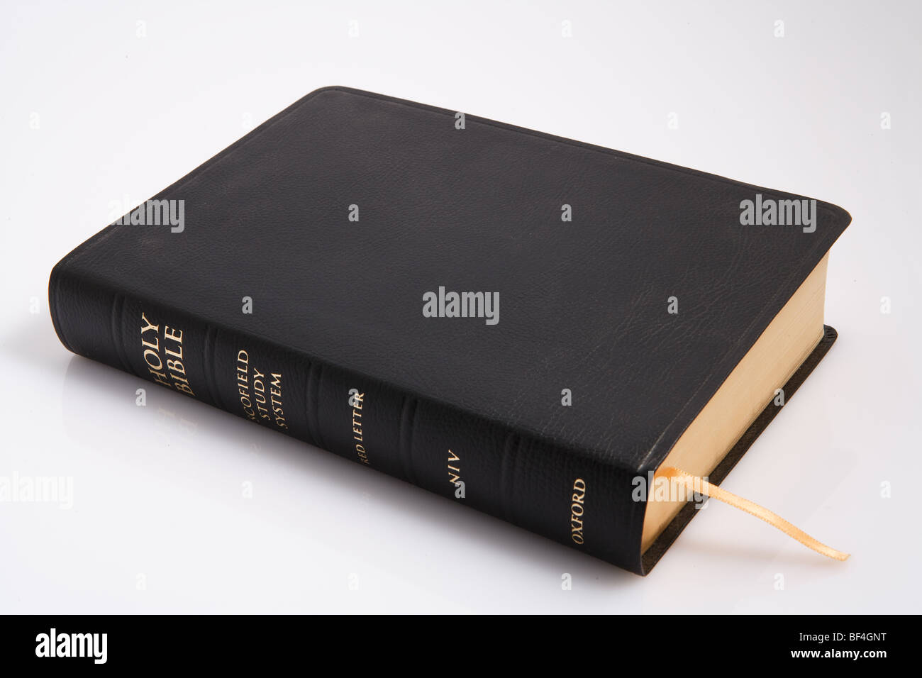 Une Bible sur un fond blanc Banque D'Images