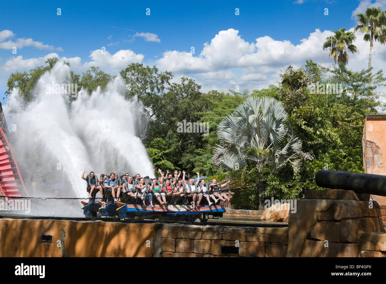 SheiKra ride, Busch Gardens, Tampa, Florida, USA Banque D'Images