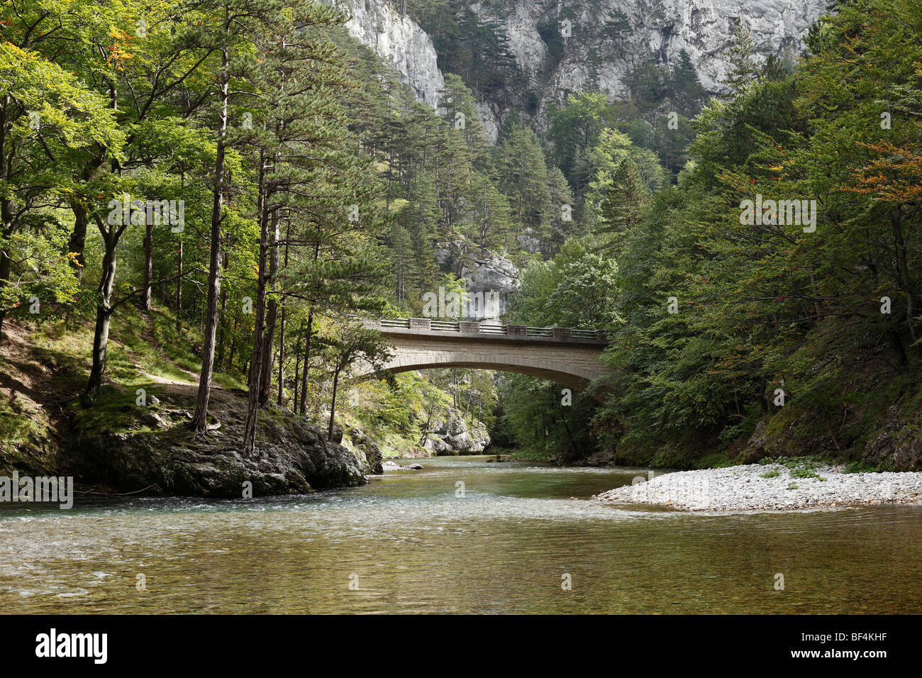 Pont sur la rivière Schwarza dans Hoellental, vallée de l'enfer à Reichenau an der Rax, Basse Autriche, Autriche, Europe Banque D'Images