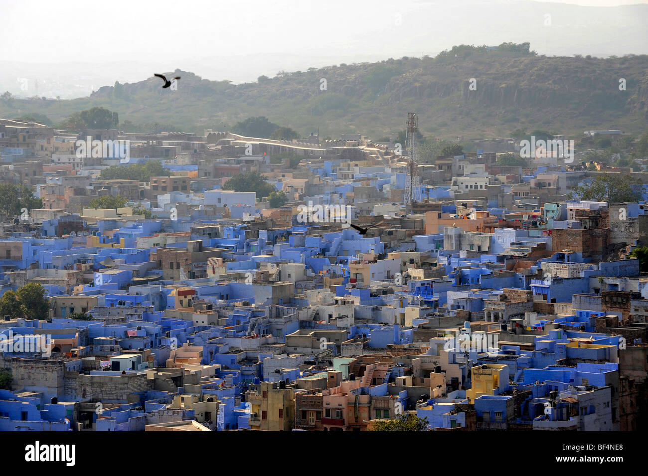Avis de Jodhpur du Fort Mehrangarh, "la ville bleue", Rajasthan, Inde du Nord, Inde, Asie du Sud, Asie Banque D'Images