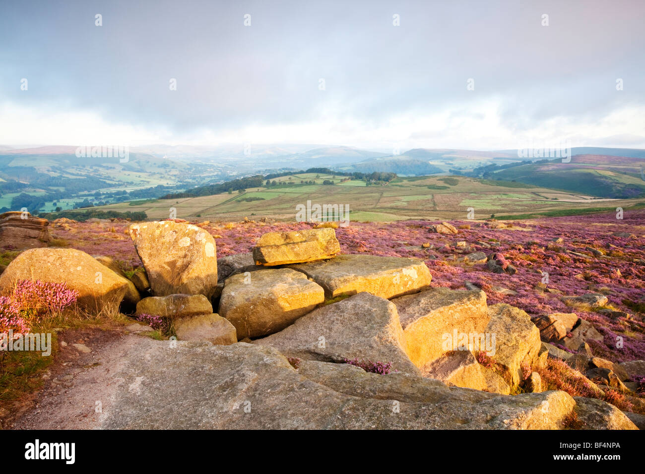 Heather à l'aube d'été plus Owler Tor à plus Heathersage Moor dans le Peak District National Park Banque D'Images