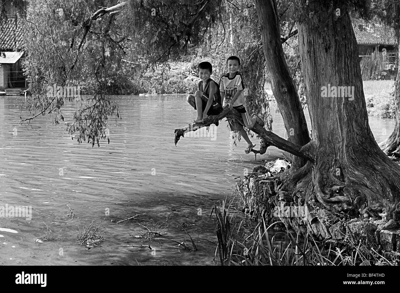 Deux garçons assis sur une branche d'arbre, comté de Leishan, Qiandongnan Préfecture autonome Miao et Dong, province de Guizhou, Chine Banque D'Images