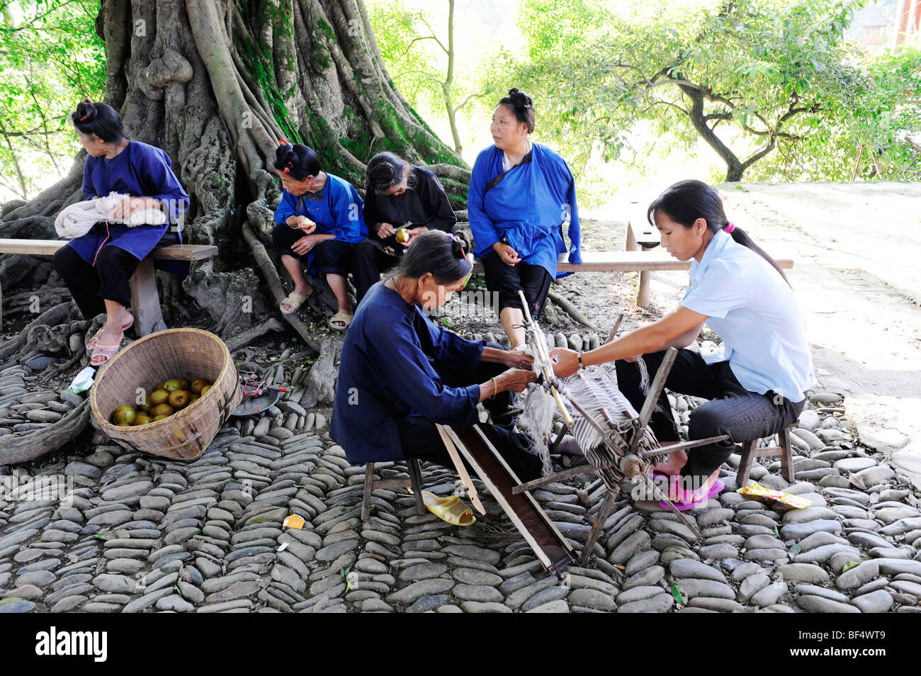 Le tissage, les femmes Dong Dong, Village Zhaoxing Liping County, province de Guizhou, Chine Banque D'Images