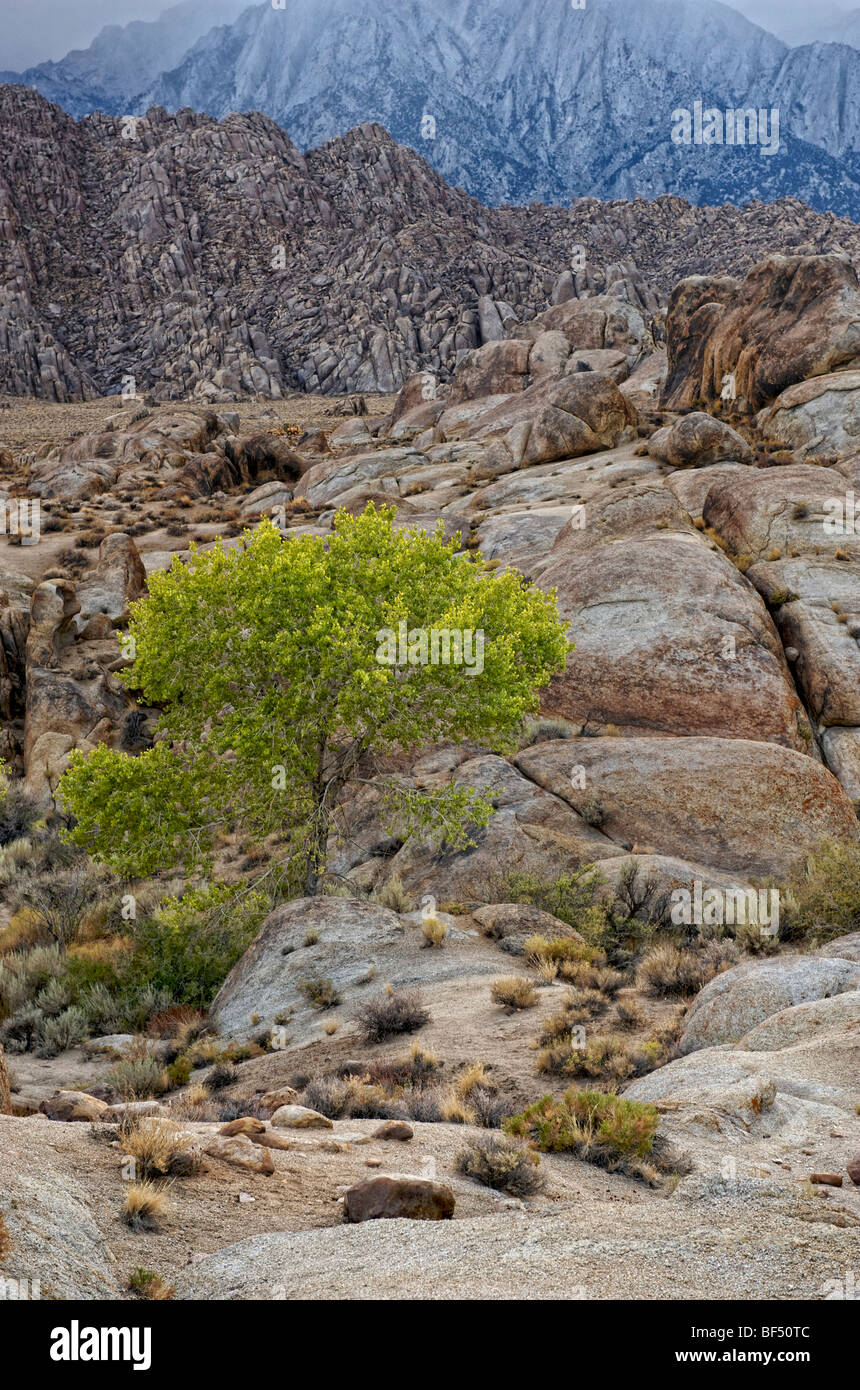 Alabama Hills, Lone Pine, Californie, USA Banque D'Images