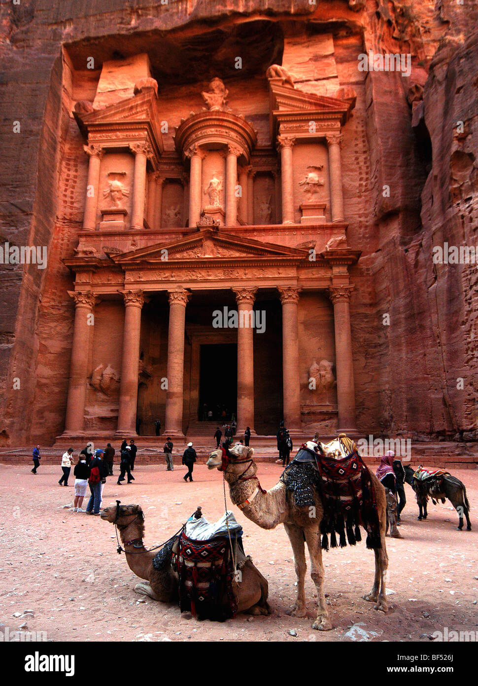 Les chameaux bédouin attendre pour les touristes au plus célèbre monument à Petra, Jordanie du Sud, le Conseil du Trésor. Banque D'Images