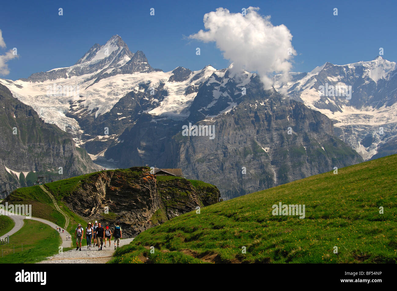 Groupe de randonnée dans la région de randonnée Grindelwald-First, Mt Schreckhorn et supérieure du Glacier de Grindelwald dans l'Oberland bernois, arrière, Banque D'Images