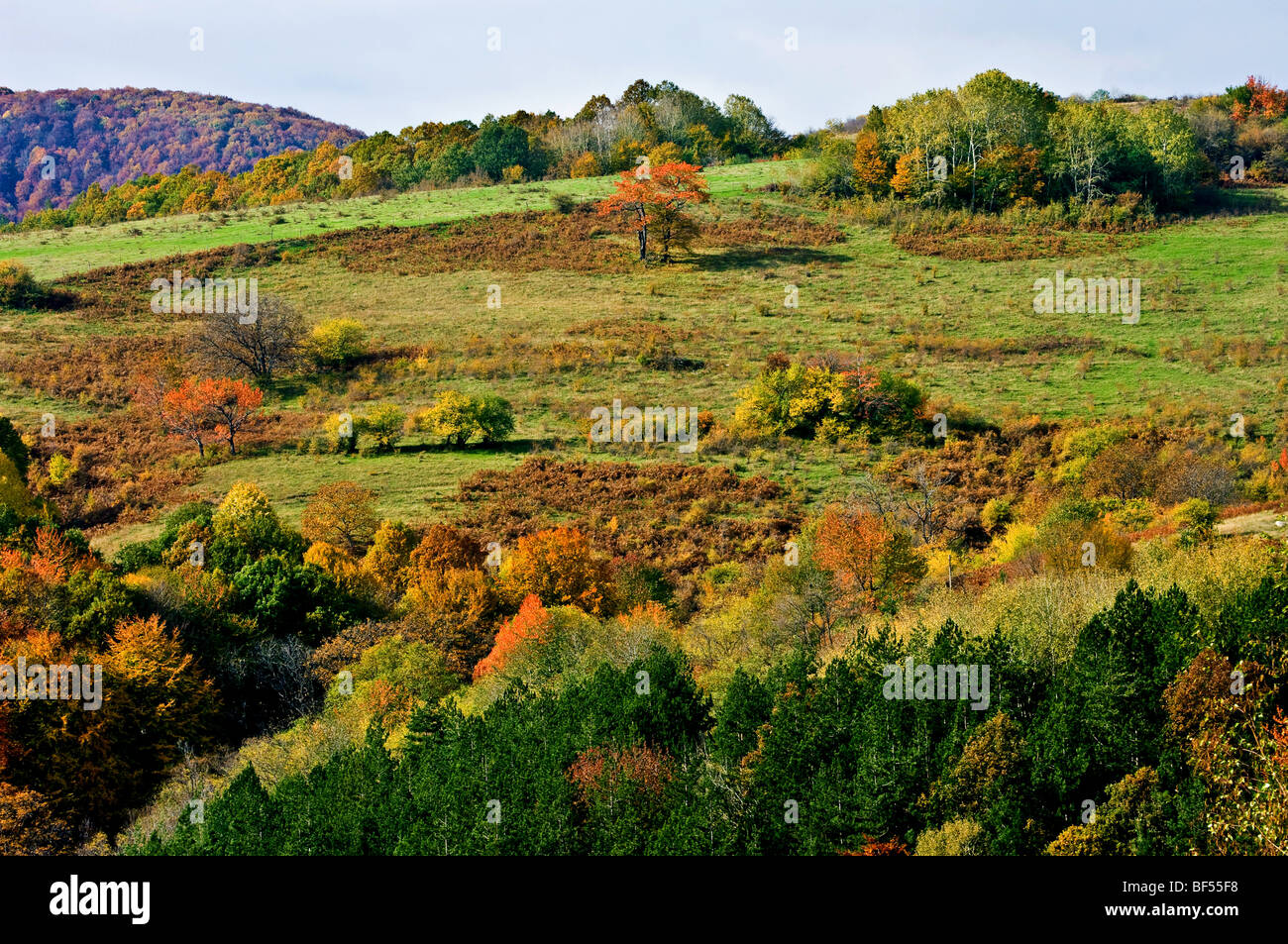 Paysage d'automne dans la montagne des Balkans Banque D'Images