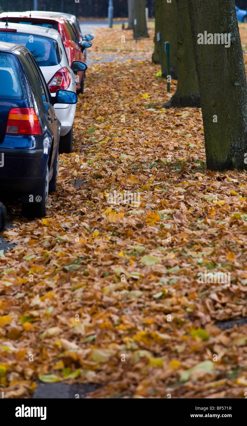 Les feuilles d'automne tombent sur une route couvrant les lignes jaunes et de blocage double gouttières d'eaux pluviales et une cause possible d'inondation Banque D'Images