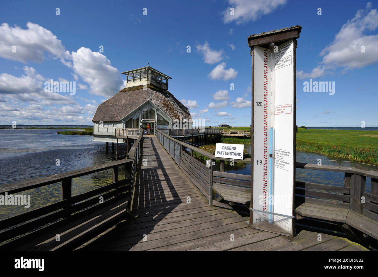 Observatoire d'oiseaux dans la réserve naturelle, Skara, Suède, Europe Banque D'Images