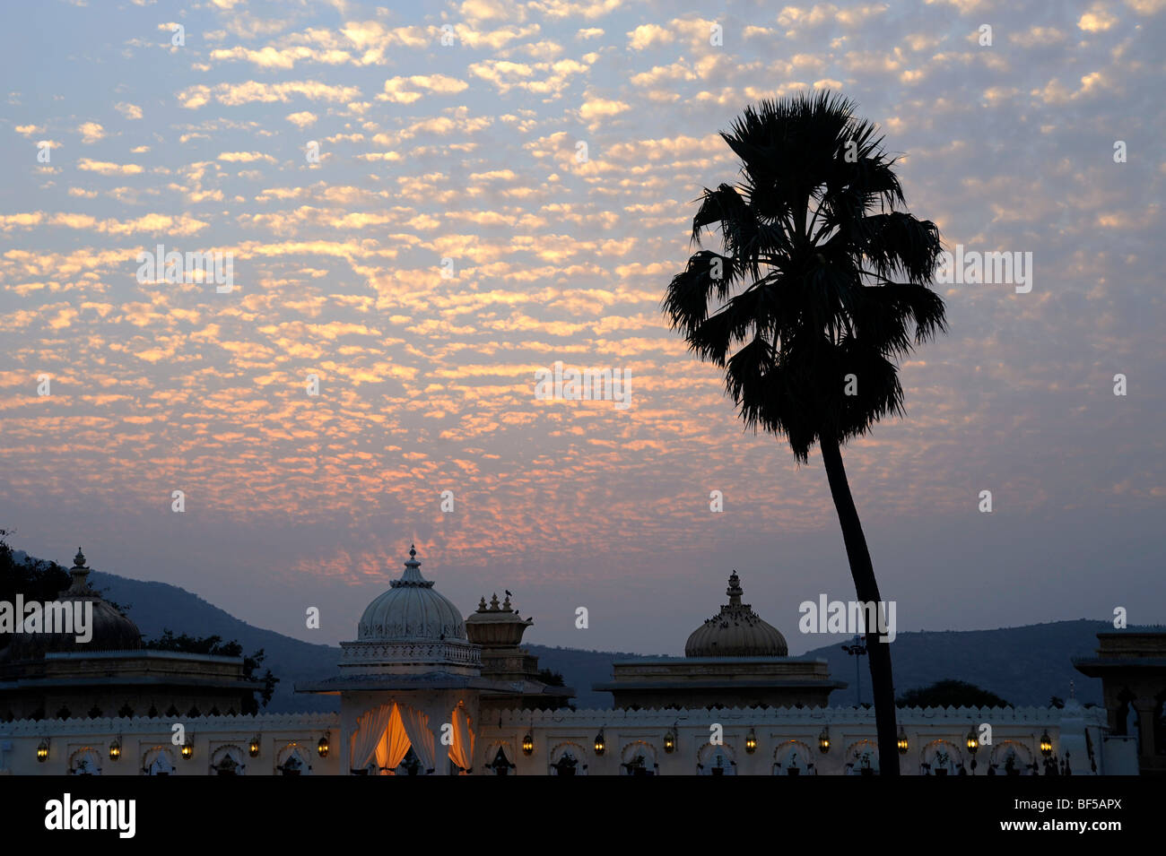 Ciel du soir avec un palmier sur l'île de Jag Mandir, Jag Mandir Palace sur le lac Pichola, Udaipur, Rajasthan, Inde du Nord, je Banque D'Images