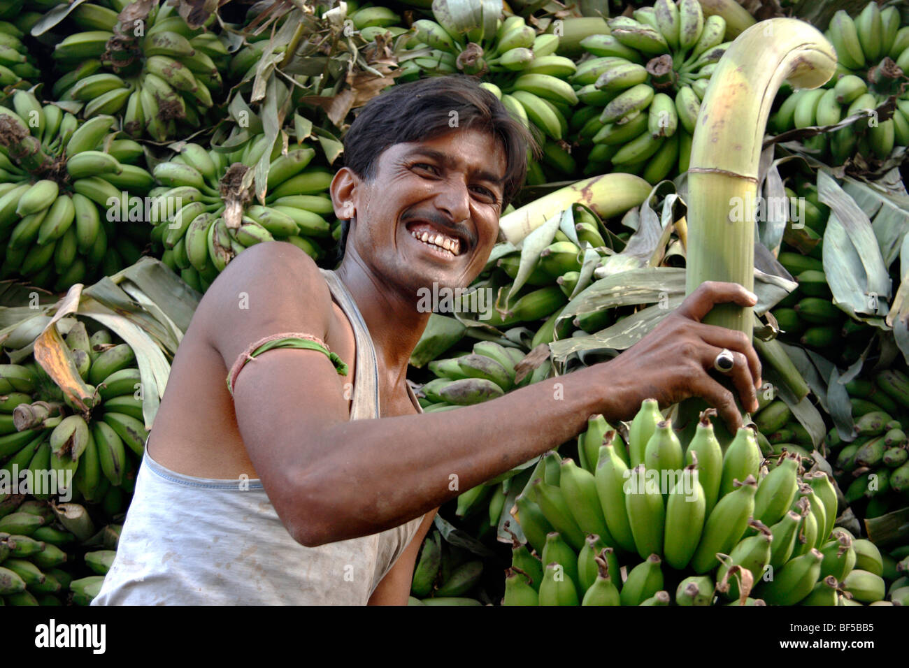 Sélecteur de banane, Humpi, Karnataka, Inde, Asie du Sud Banque D'Images