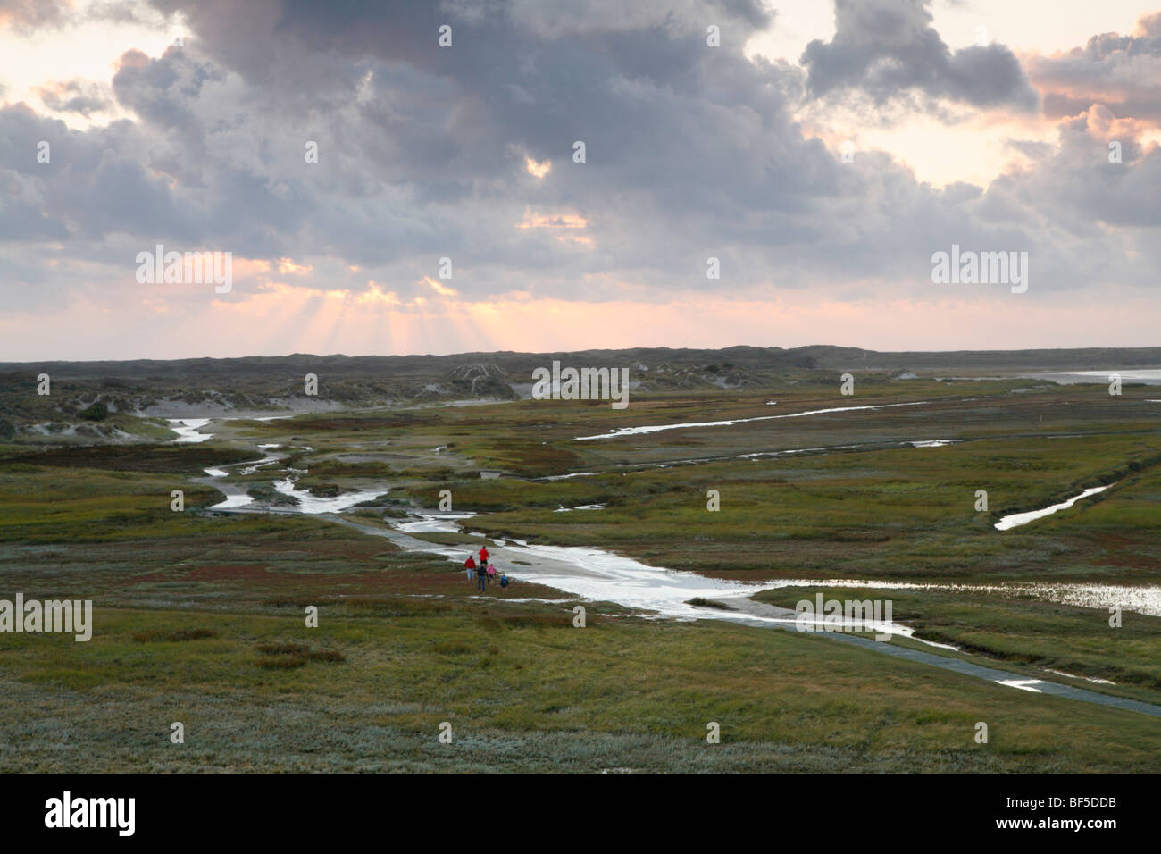 Coucher du soleil dans la réserve naturelle de Slufter De, Texel, Hollande, Pays-Bas, Europe Banque D'Images