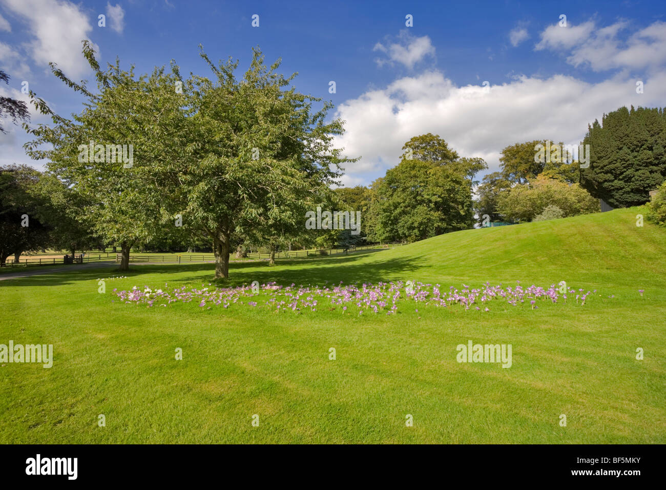 Motifs de Thirlestane Castle, Lauder, Ecosse Banque D'Images