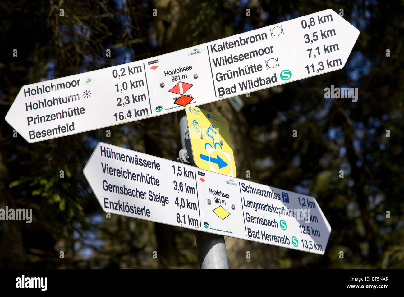 Signe, près de Hohlohmoor, près de Bad Wildbad, Forêt Noire, Baden Wurtemberg , Allemagne Banque D'Images