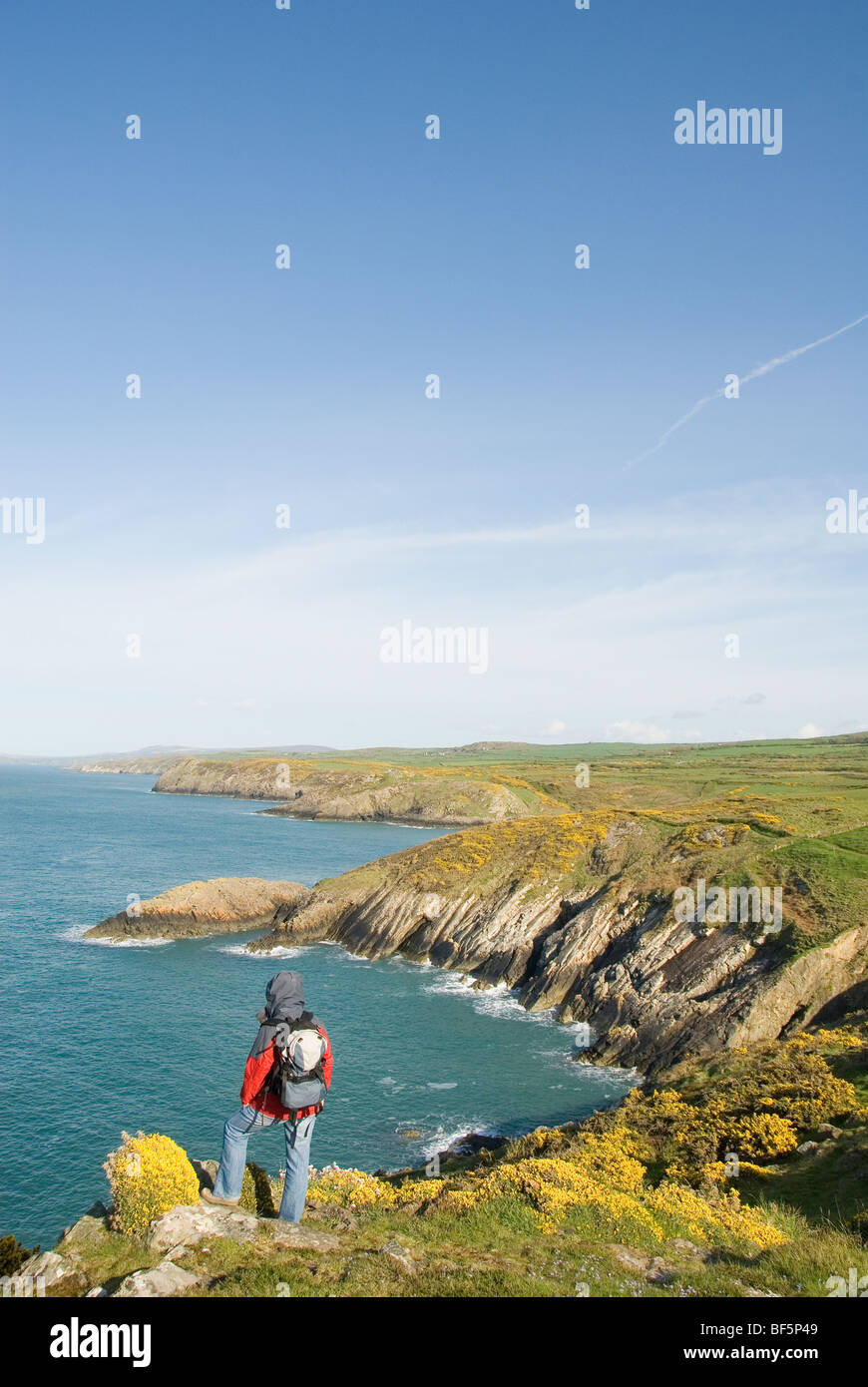 Walker à la recherche à l'autre, Pembrokeshire, Pays de Galles, Royaume-Uni Banque D'Images