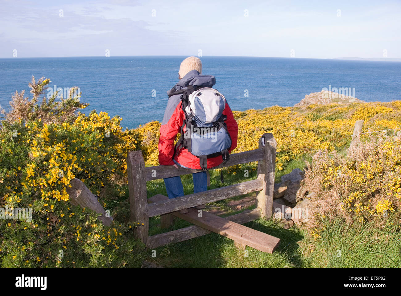 Walker féminin assis sur un stile, Pembrokeshire, Pays de Galles, Royaume-Uni Banque D'Images