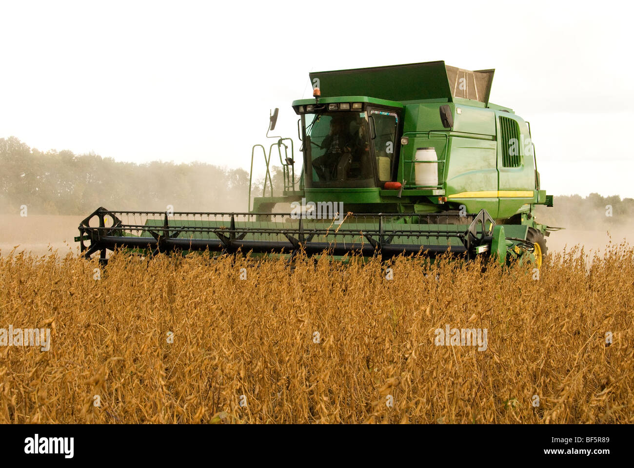 John Deer combiner la récolte de soja, de l'Ukraine Banque D'Images