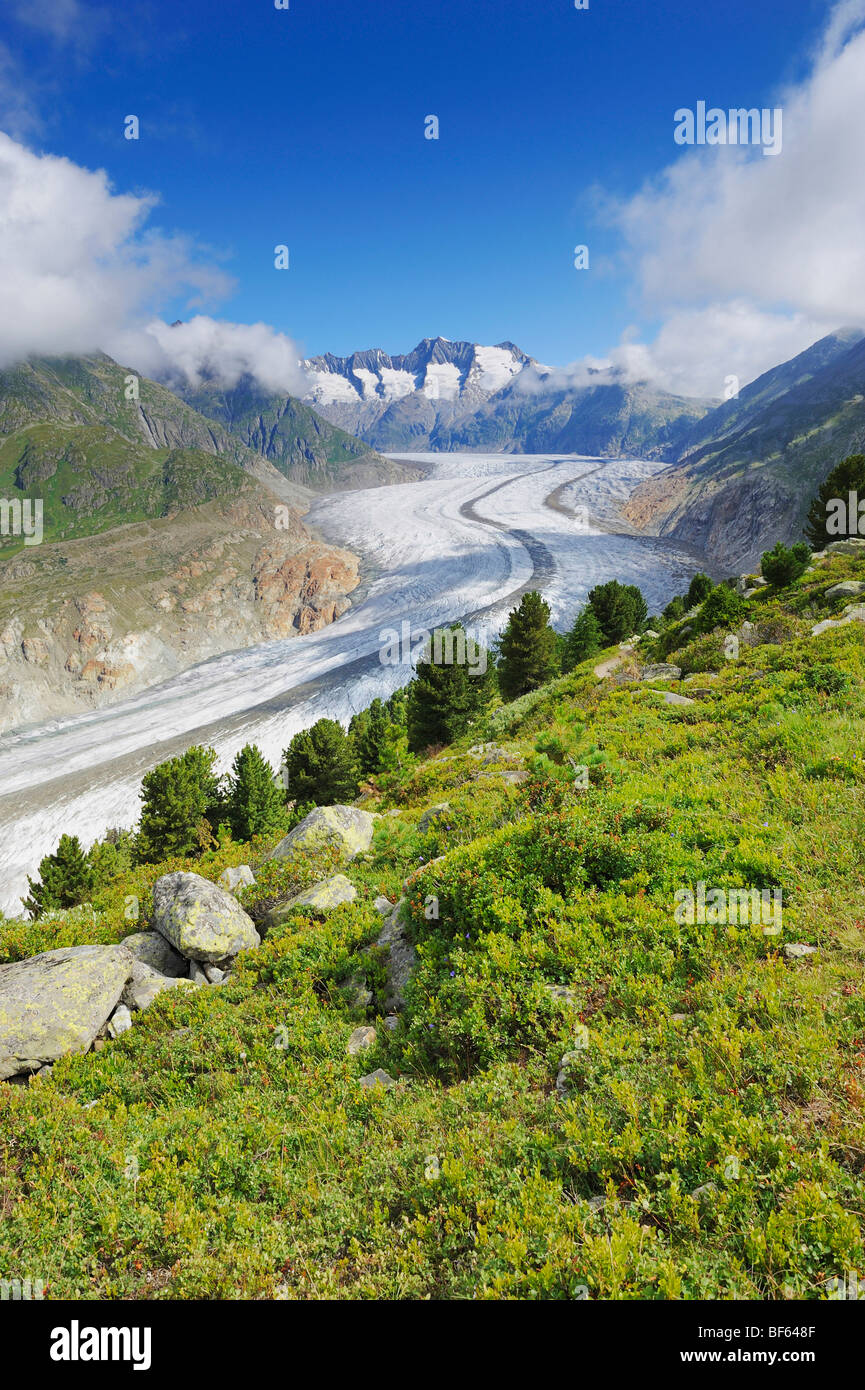 Glacier d'Aletsch, classé au Patrimoine Mondial de l'UNESCO Jungfrau-Aletsch-Bietschhorn, Conthey, Valais, Suisse, Europe Banque D'Images