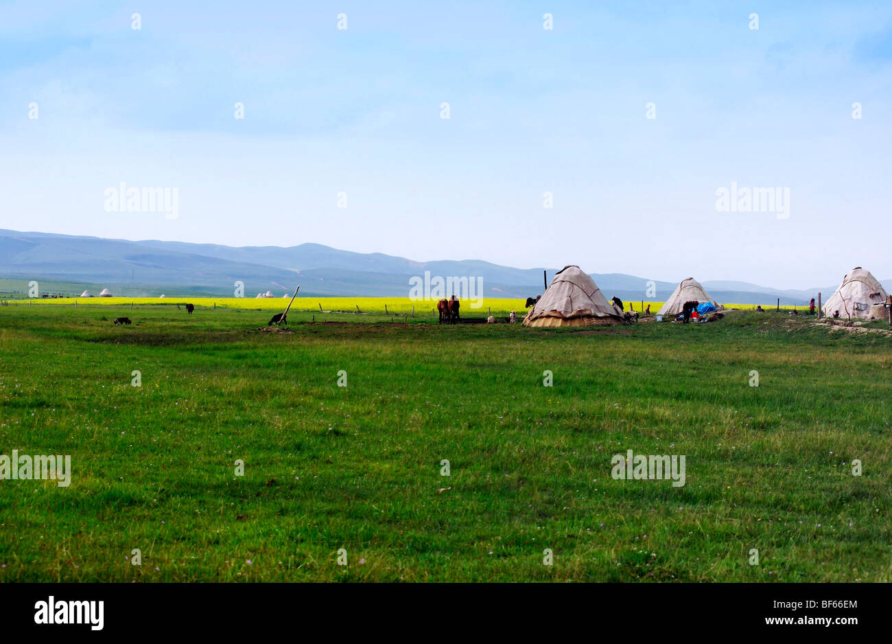 La Préfecture autonome Kazakh de sg, la région autonome ouïghoure du Xinjiang, Chine Banque D'Images