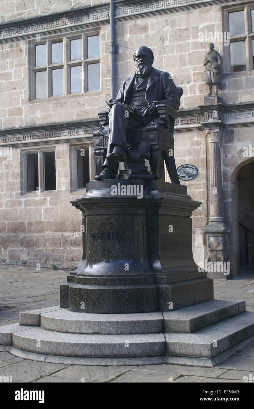 Statue de Charles Darwin, Shrewsbury, shropshire Banque D'Images