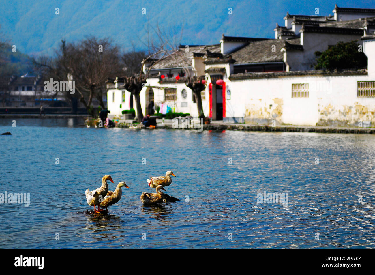 Afrique du lac en face du village de Hongcun, Anhui Province, China Banque D'Images