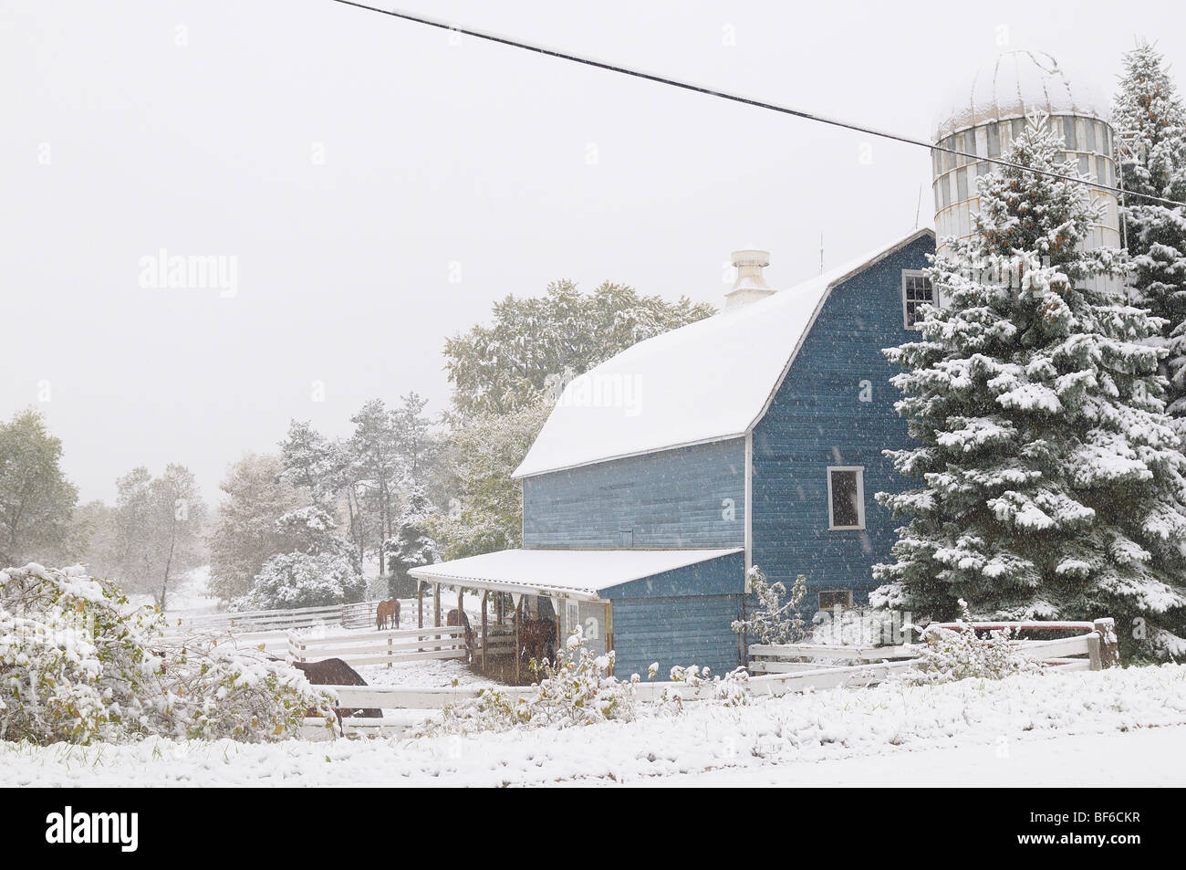 Grange bleue au cours de la neige. Banque D'Images