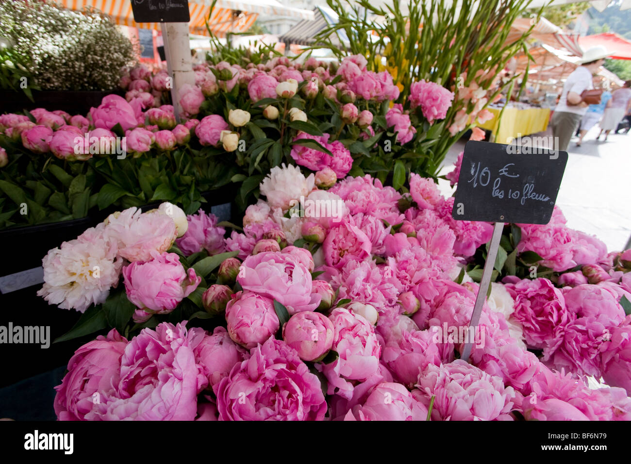 Les Pivoines, place le Cours Saleya, marché aux fleurs, Nice, Cote d Azur, Provence, France Banque D'Images