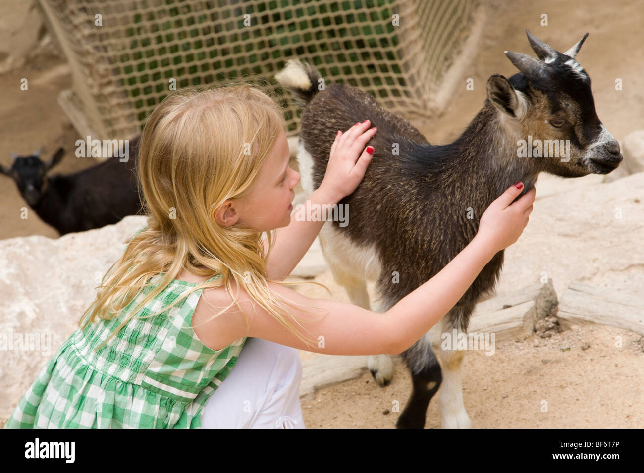 Girl, chèvre, Zoo Parc Cap Ferrat, près de Nice, le Cap Ferrat, Cote d Azur, Provence, France Banque D'Images