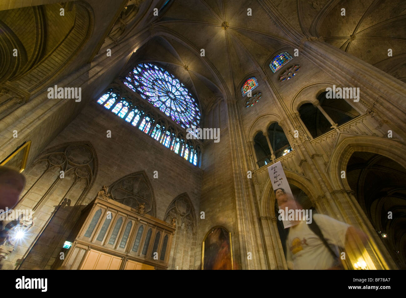 L'intérieur de la Cathédrale Notre Dame de Paris, France. À la recherche vers le plafond Banque D'Images