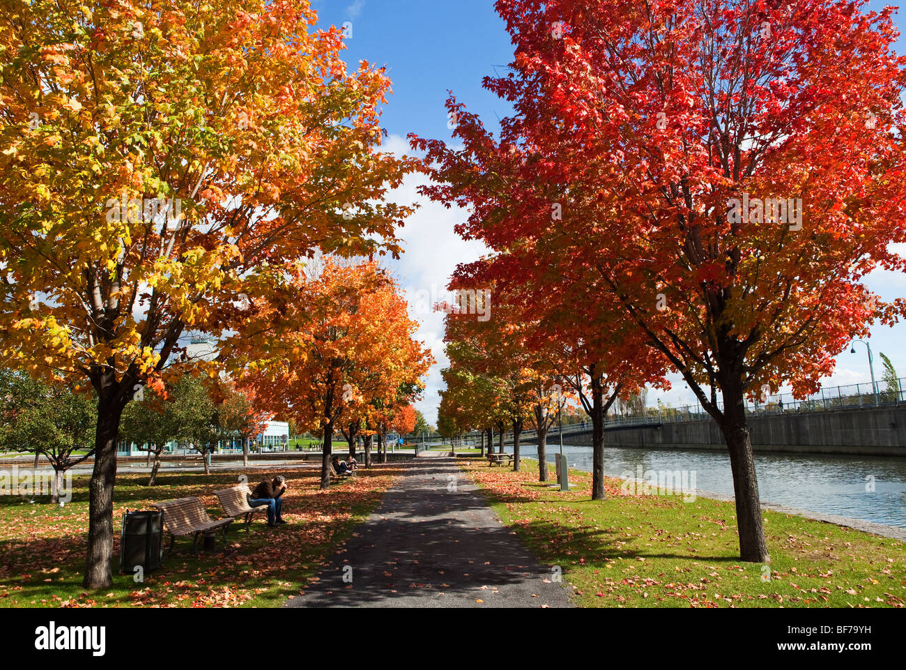 Automne dans le parc du Bassin Bonsecours à Montréal, Canada Banque D'Images