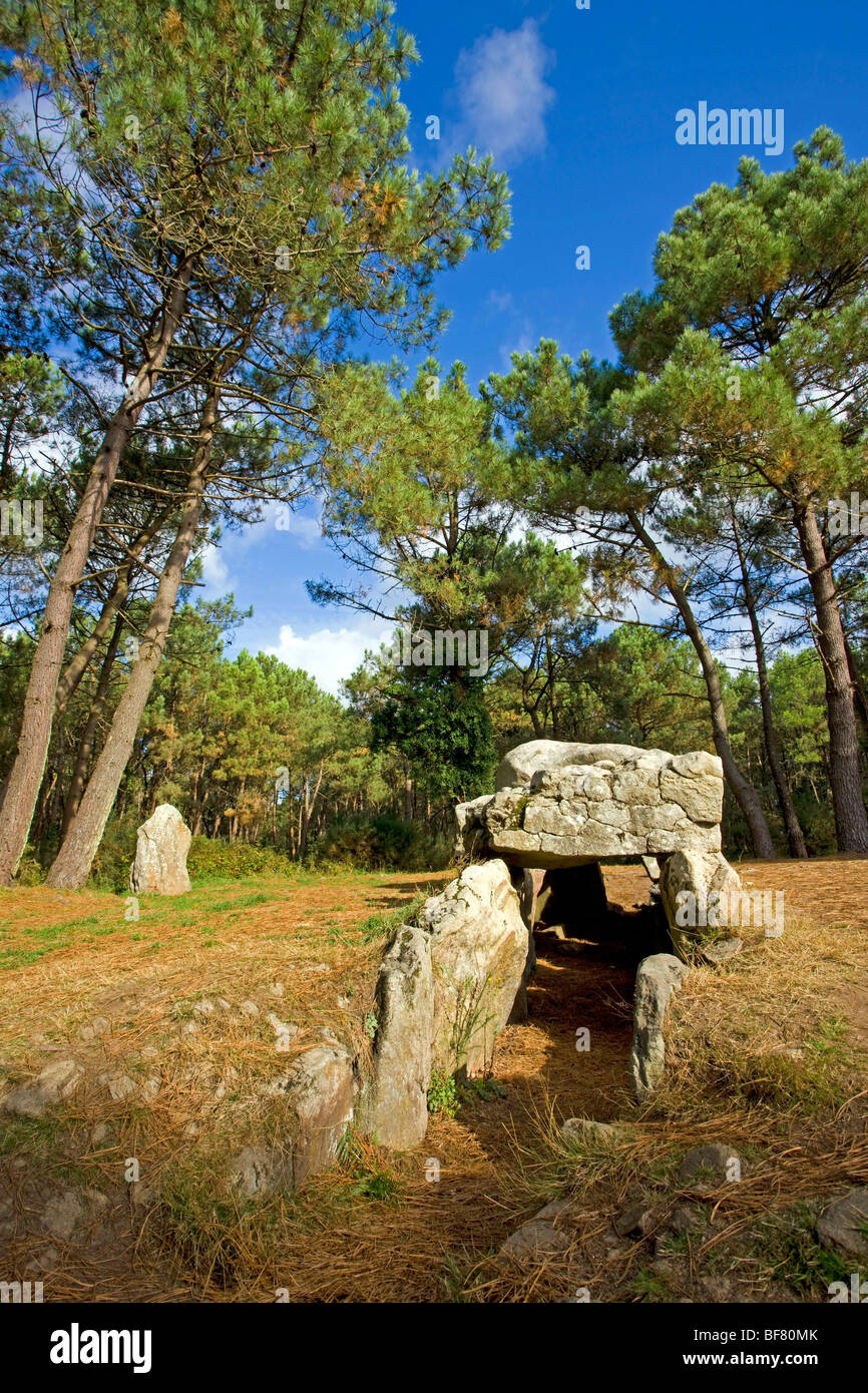 Carnac (56) : Mané-Kerioned dolmens Banque D'Images