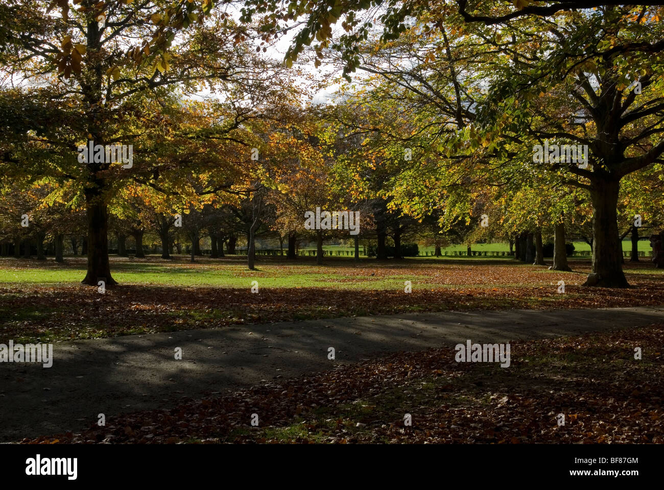 War Memorial Park Coventry Coventry Warwickshire Angleterre Banque D'Images