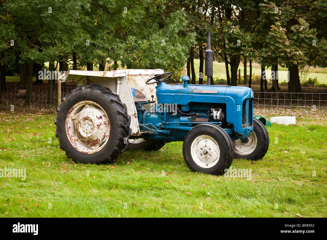 Fordson Dexta tracteur vintage. Banque D'Images