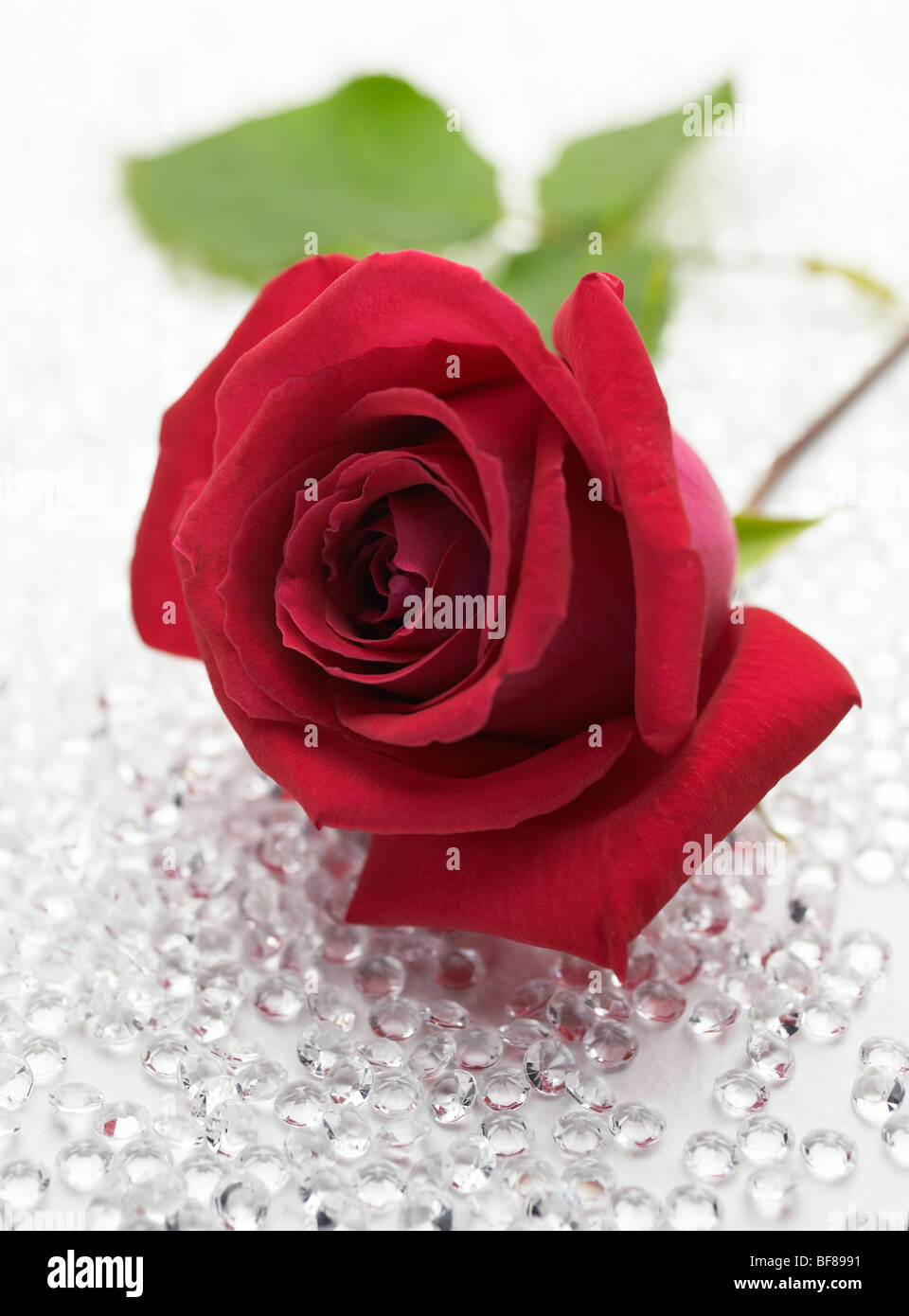 Rose rouge et diamant bijou comme confettis de table still life Banque D'Images
