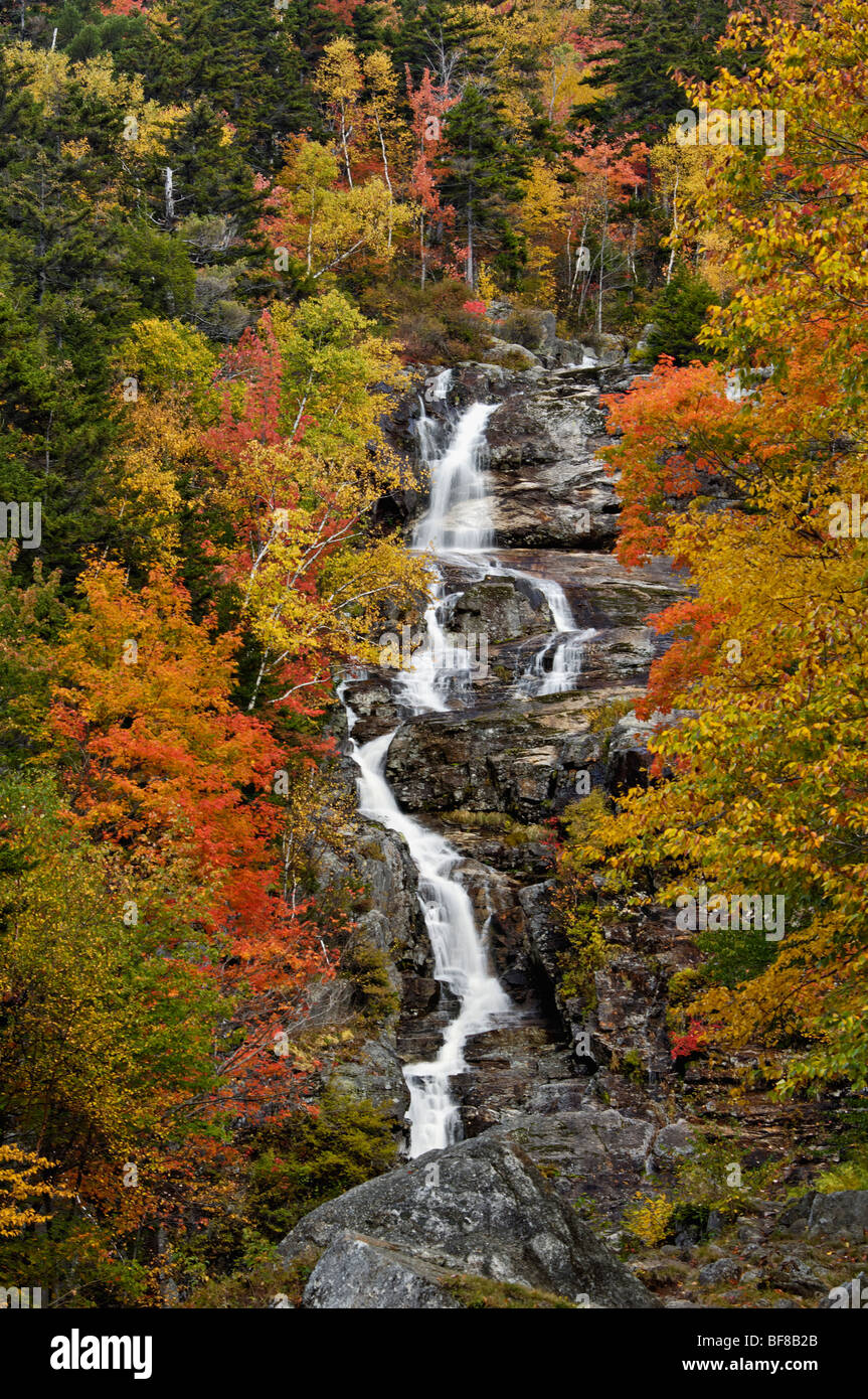 La couleur en automne à Silver Cascade dans la forêt nationale des Montagnes Blanches du New Hampshire Banque D'Images