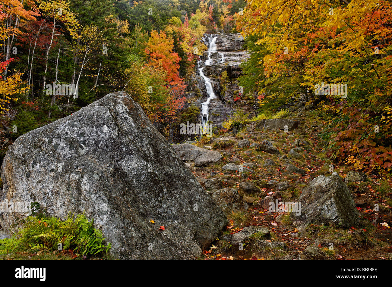 La couleur en automne à Silver Cascade dans la forêt nationale des Montagnes Blanches du New Hampshire Banque D'Images