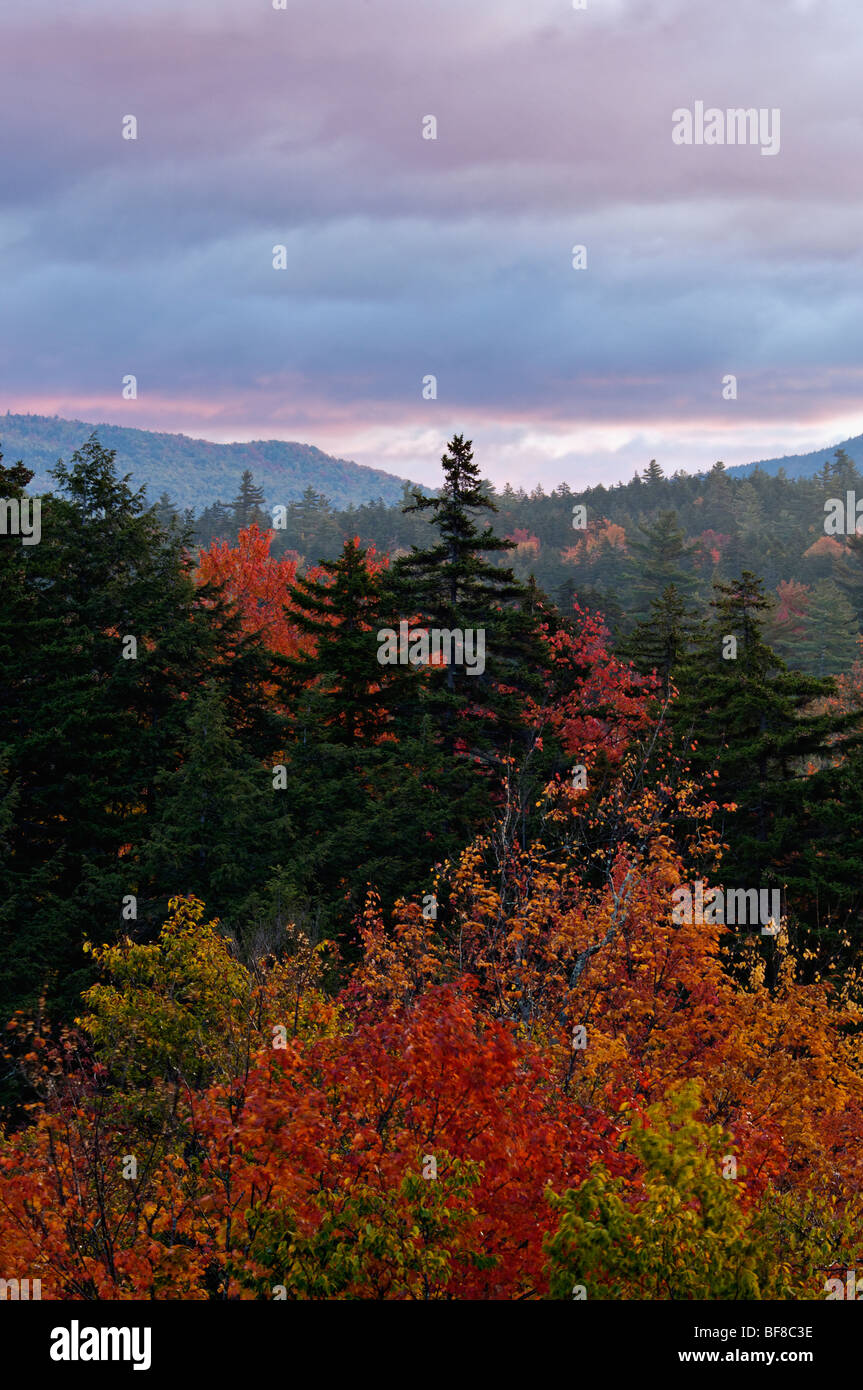 Lever du soleil d'automne dans la forêt nationale des Montagnes Blanches du New Hampshire Banque D'Images