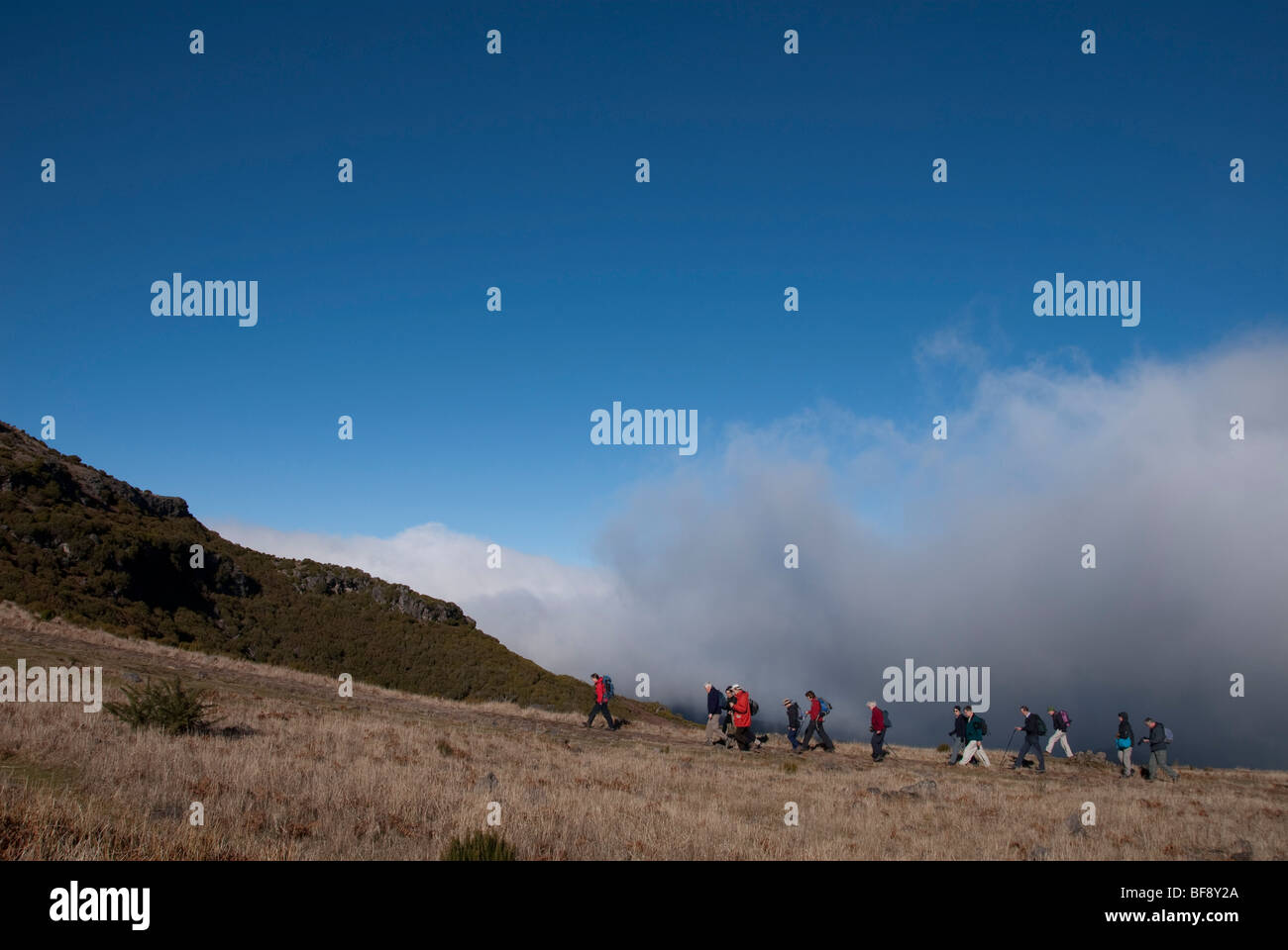 Pico Ruivo est la plus haute montagne dans la région de Madère. Banque D'Images