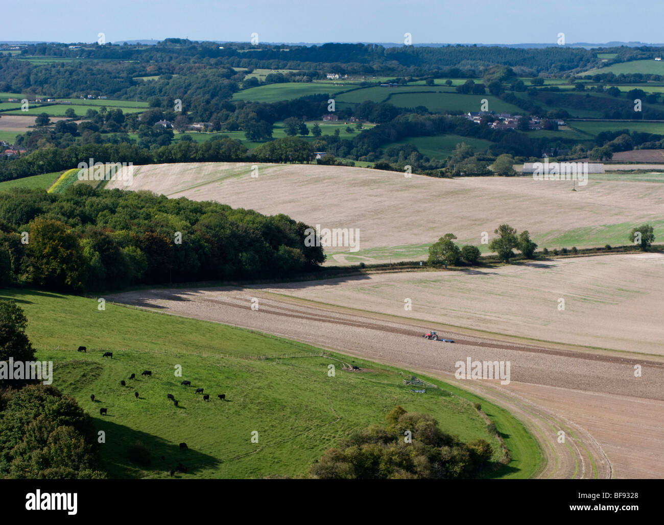 Sommaire des champs de ferme dans le Dorset, UK Banque D'Images