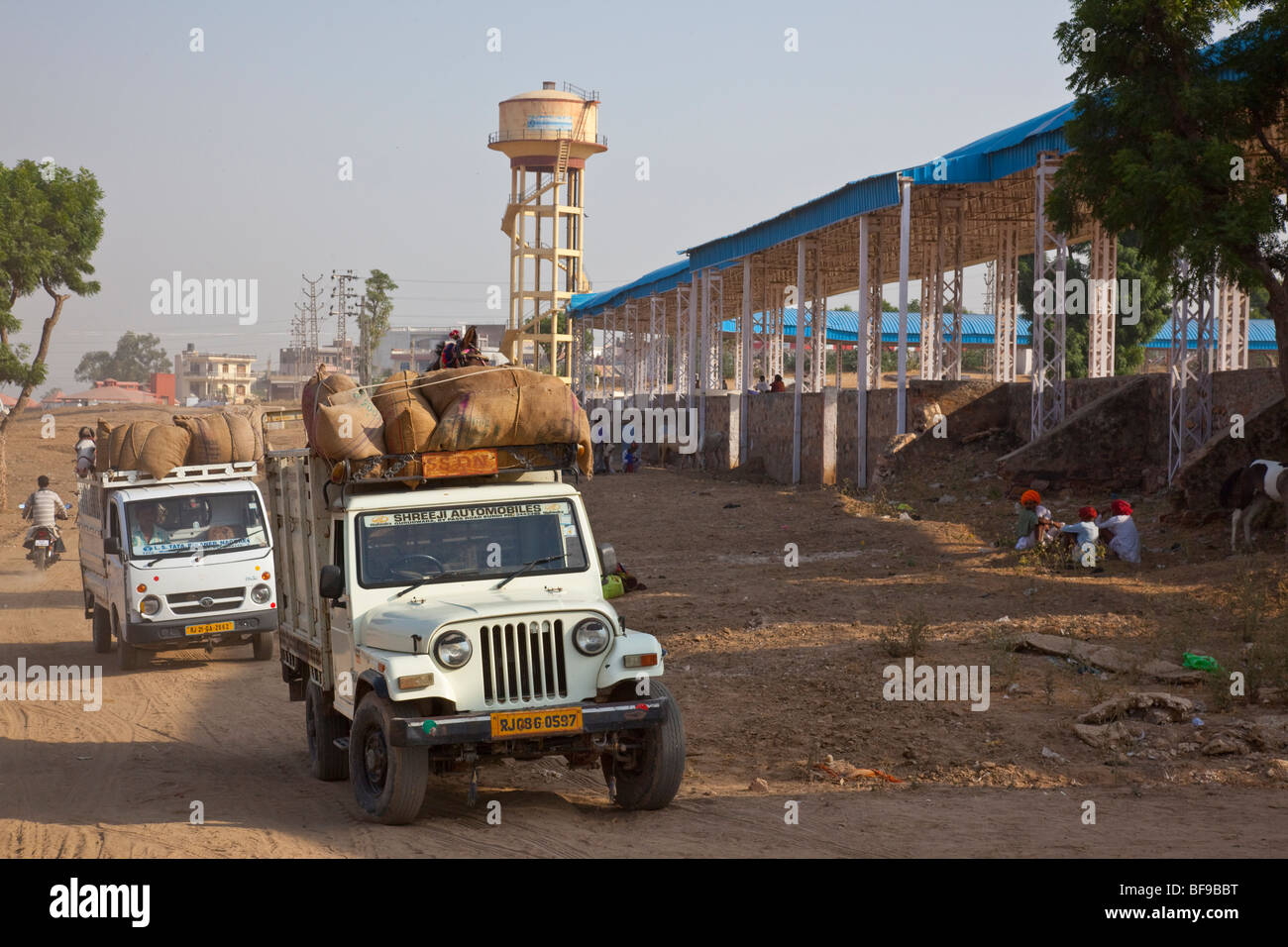 Chevaux arrivant à la Pushkar Mela à Pushkar au Rajasthan Inde Banque D'Images