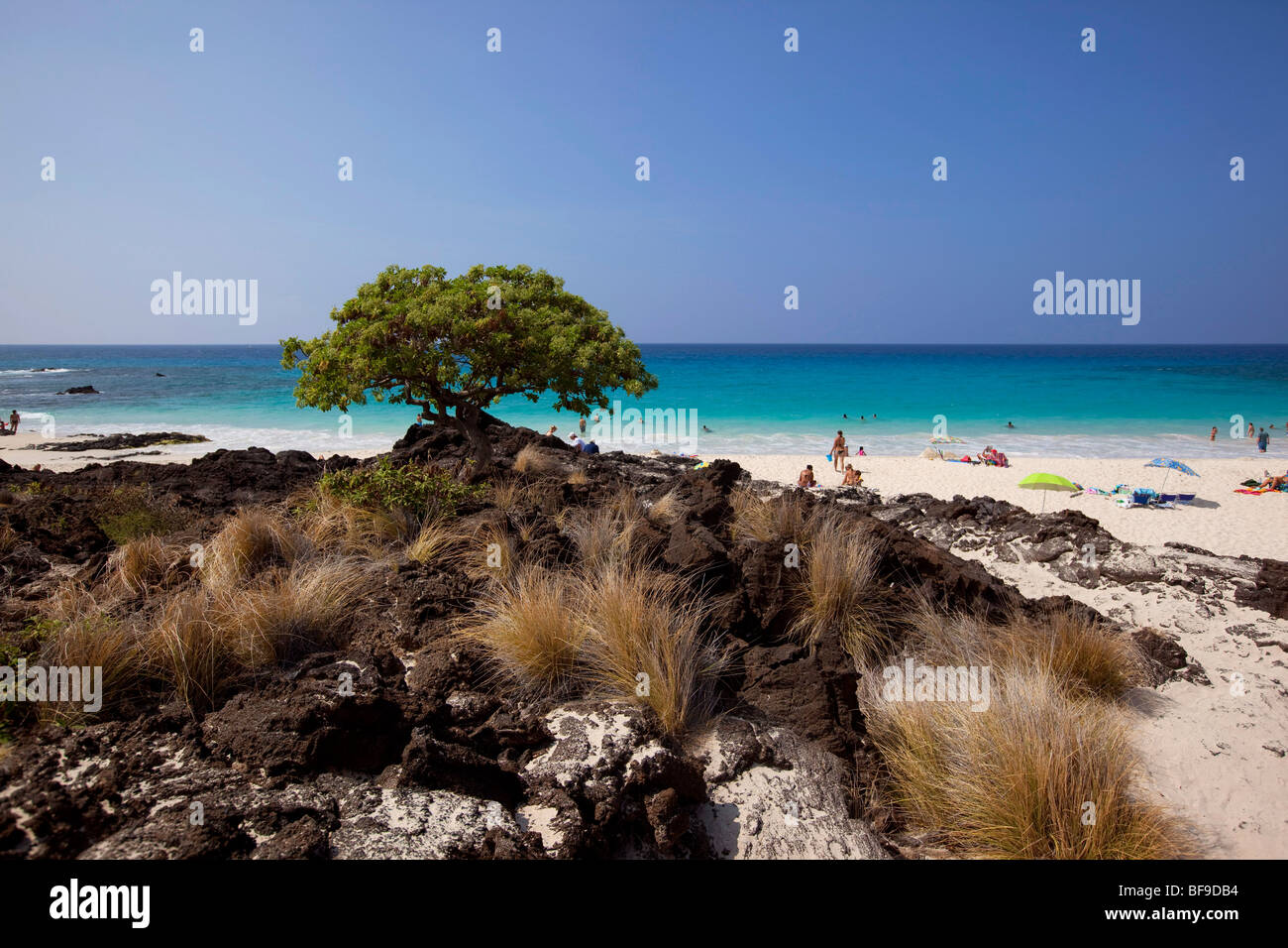 Maniniowali beach, Le Kua Bay, Kekaha Kai State Park, l'île d'Hawaï Banque D'Images