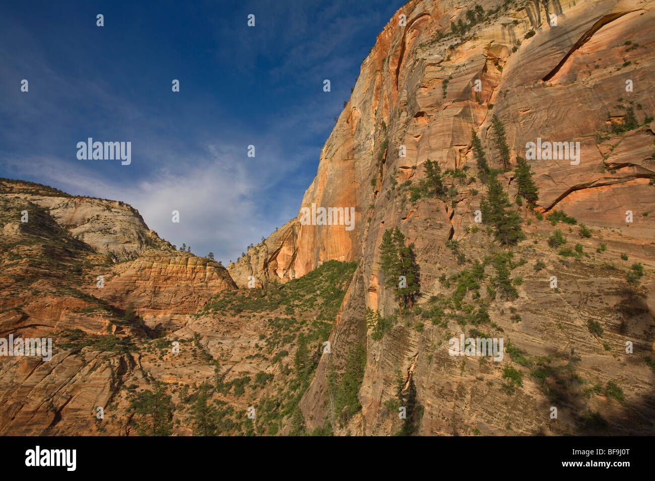 Vues le long du sentier de Hidden Canyon de Cable Mountain et Echo Canyon, Zion Canyon ci-dessus à Zion National Park, Utah, USA Banque D'Images