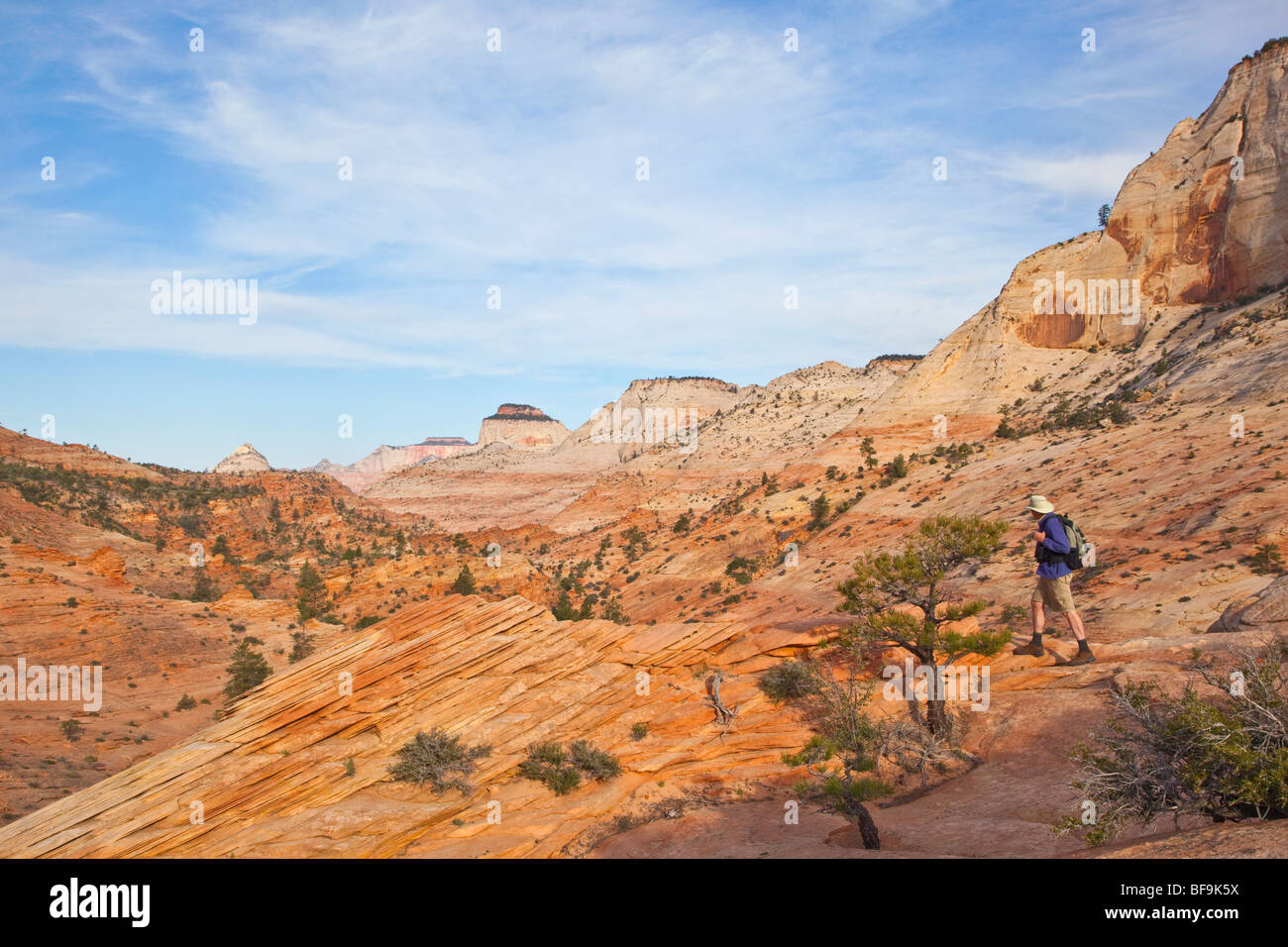 Randonneur sur grès de Navajo slickrock, au-dessus de Zion-Mt. Carmel l'Autoroute, Près de l'entrée est du parc national Zion, Utah Banque D'Images